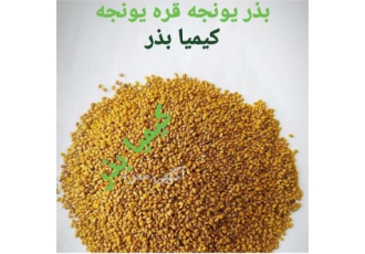 فروش بذر یونجه در کرج فروش انواع بذر یونجه سردسیری و گرمسیری همدانی قره