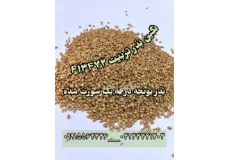 فروش بذر یونجه و بذر علوفه با بهترین قیمت در یاسوج فروش عمده و خرده بذر