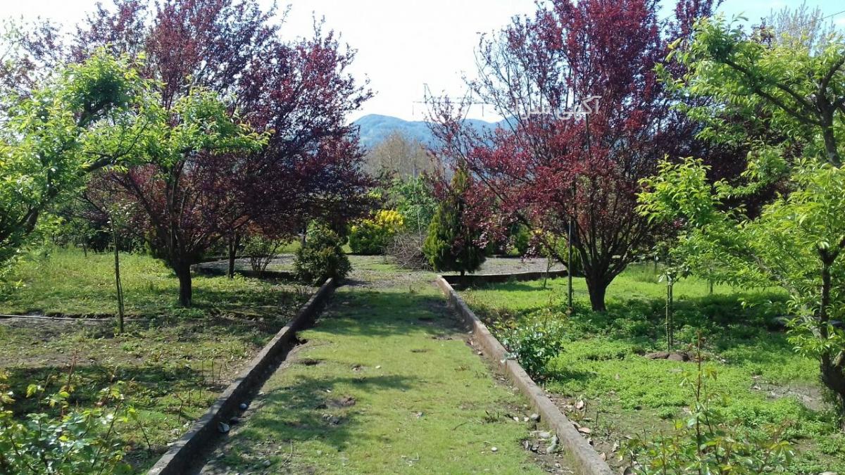 سوپرمارکت شبانه روزی با پیک مشهد