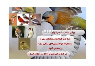 موضوع :آموزش پرورش صنعتی سهره سانان در اراک برای اولین بار در ایران