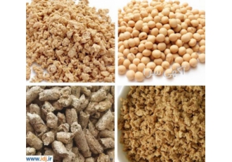 سویا ناب