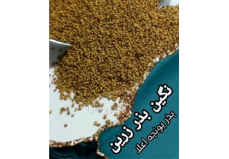 بهترین قیمت فروش بذر یونجه قیمت بذر در لطف آباد اگر بذر یونجه پایه