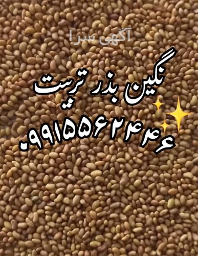 آگهی های بذر و نهال - پلدختر