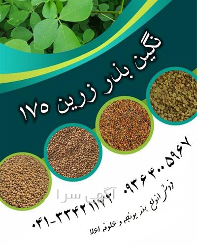 آگهی های بذر و نهال - تکاب