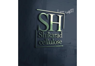 Luxury Logo Design in San Francisco California در قم Luxury Logo Design