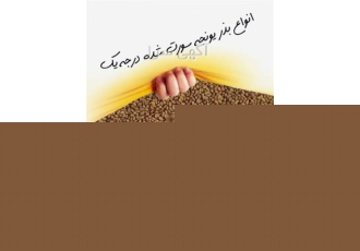 قیمت فروش بذر یونجه بدون واسطه در فیروزکوه قیمت فروش بذر یونجه پایه