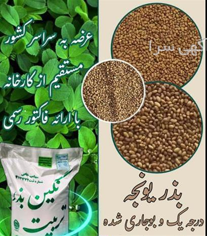 آگهی های بذر و نهال - سبزوار