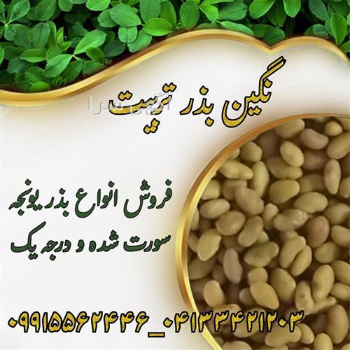 آگهی های بذر و نهال - سرفاریاب