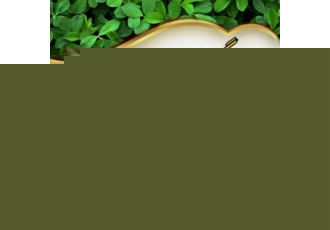 فروش بذر یونجه درجه یک خالص سورت شده