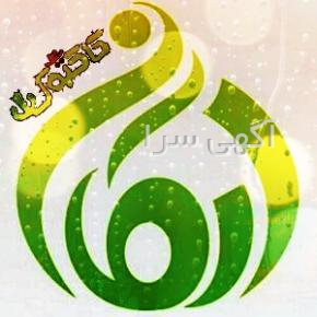 بهترین بذر کاکتوس برای تازه کارها