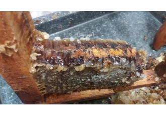 عسل کوثر سبلان مشکین شهر عسل فروشی به صورت عمده و خورده استان اردبیل