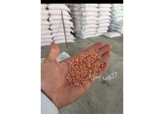 فروش ویژه انواع بذر گندم دیمی و آبی گواهی شده در مشهد انواع بذر گندم