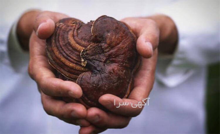 قرص دیر انزالی دیجی کالا