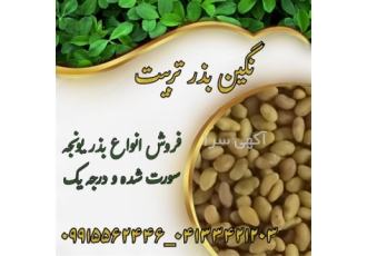 بذر یونجه و بذر علوفه درجه یک سورت شده