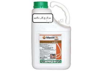 سم ماکسیم ایکس ال عرضه و توزیع سموم کشاورزی در یزد قارچ کش ماکسیم