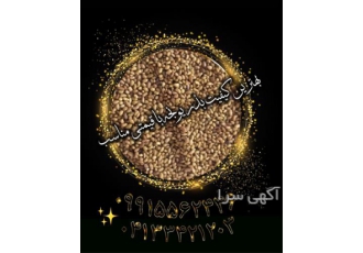 بهترین قیمت بذر یونجه سورت شده در ترکمانچای فروش بذر یونجه درجه یک