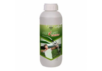خرید سم قارچ کش پریویکور انرژی در یزد سم قارچ کش پریویکور انرژی اثرات