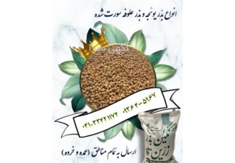 بذر یونجه رنجر - فروش بذر یونجه بوجاری شده خالص