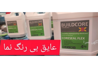 عایق رطوبتی صد در صدی، عایق ضد جلبک و ضد قارچ