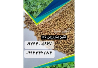 فروش بذر یونجه دیم با نازلترین قیمت و بهترین کیفیت در تبریز فروش بذر