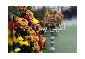 تالار تشریفات ماژ