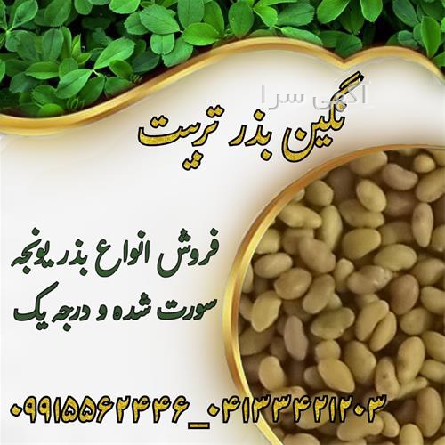 آگهی های بذر و نهال - پیرانشهر