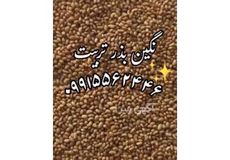 فروش بذر یونجه و بذر علوفه به کل نقاط