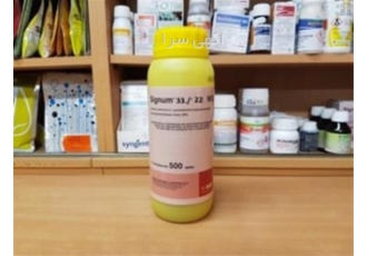 فروش سم قارچ کش سیگنوم اصل