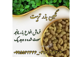 فروش بذر یونجه ، بذر علوفه درجه یک بدون واسطه