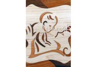 فروش دستگاه لیزری روی چوب و MDF