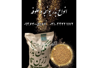 بذر یونجه پایه بلند - قیمت بذر یونجه همدانی