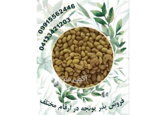 بهترین قیمت فروش بذر یونجه سورت شده