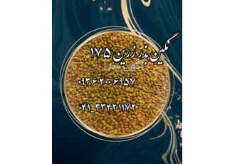 قیمت بذر یونجه اصیل و سورت شده در خاش بهترین قیمت بذر یونجه پایه بلند
