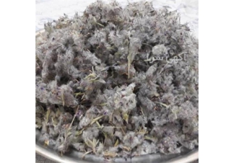 فروش عمده چای کوهی درجه یک در تهران فروش عمده چای کوهی درجه یک چای کوهی