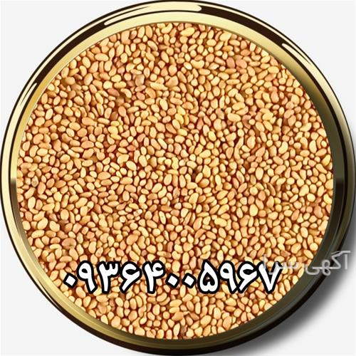 آگهی های بذر و نهال - تاکستان