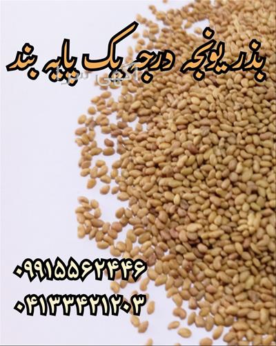 آگهی های بذر و نهال - لنده