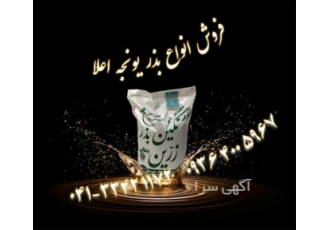 قیمت بذر یونجه بدون ناخالصی