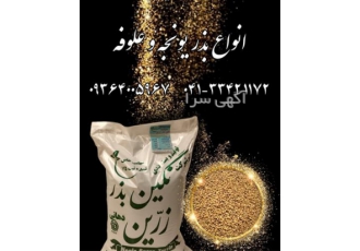 بذر یونجه بمی - فروش بذر یونجه - قیمت بذر یونجه