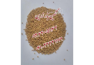 قیمت بذر یونجه با کیفیت و درجه یک