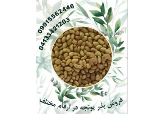 فروش بذر یونجه درجه یک ، ارسال سراسری