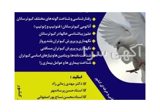 آموزش ورزش کبوتران مسافتی در اراک برای اولین بار در ایران ثبت نام آموزش