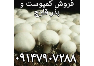 فروش کمپوست قارچ خاک پوششی وبذر قارچ