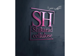 Luxury Logo Design in Indiana in America در قم Luxury Logo Design in