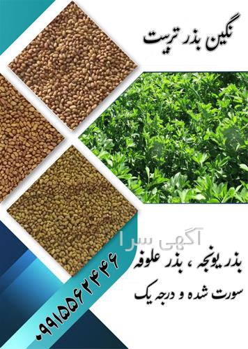 آگهی های بذر و نهال - هریس