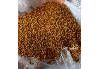 خرید و فروش بذر یونجه درجه یک اصلاح شده