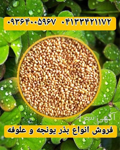 آگهی های بذر و نهال - طبس