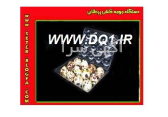 ظرف بسته بندی تخم بلدرچین / تخم مرغ ظرف بسته بندی تخم بلدرچین ظرف بسته