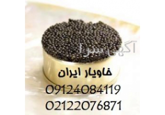 خاویار بلوگا پلمپ شده شیلات ایران خاویار در بسته بندی های پلمپ شده