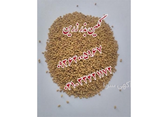 قیمت فروش بذر یونجه ، شبدر و اسپرس