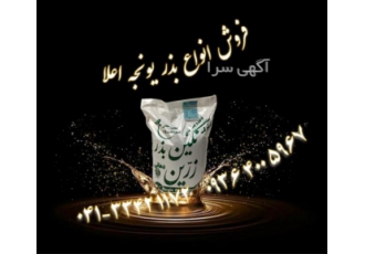 فروش بذر یونجه اصیل بذر علوفه در دماوند قیمت فروش بذر یونجه درجه یک